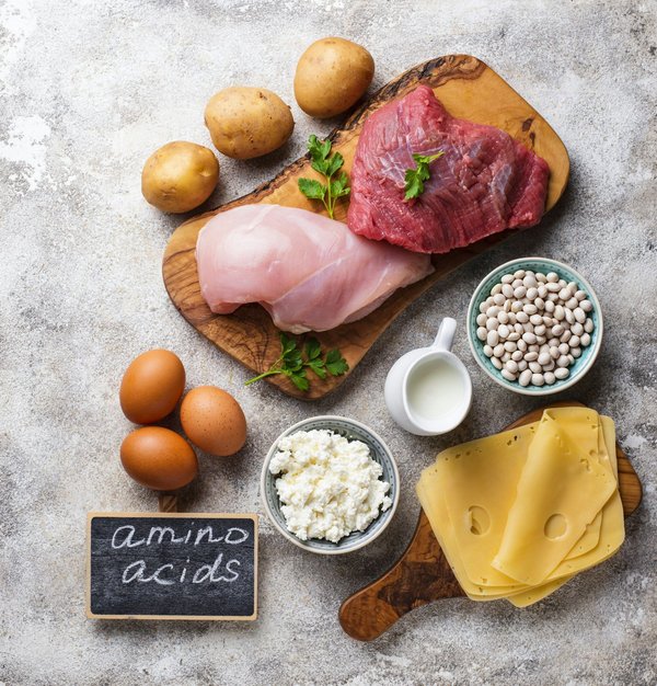 Acides aminés : découvrez ces éléments essentiels !